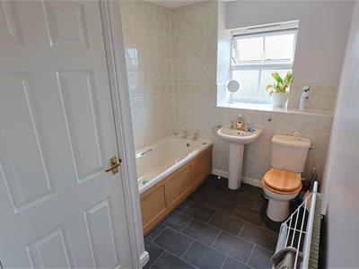 Picture 16